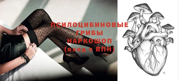 ПСИЛОЦИБИНОВЫЕ ГРИБЫ Алзамай