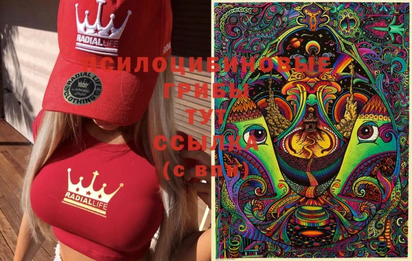 спайс Алексеевка