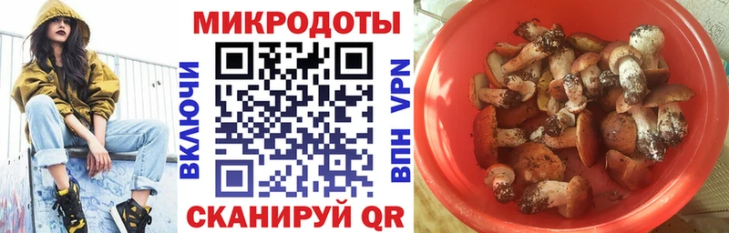 hydra ONION  Заволжск  Псилоцибиновые грибы Psilocybe  где купить наркоту 